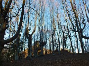 19 Nella splendida faggeta...il roccolo